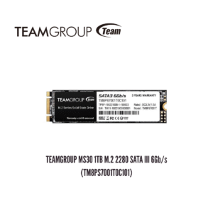 GTFSSD00003 Unidad en Estado Sólido TEAMGROUP MS30 1TB M.2 2280 SATA III 6Gb/s