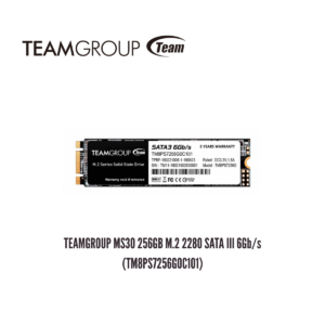 GTFSSD00004 Unidad en Estado Sólido TEAMGROUP MS30 256GB M.2 2280 SATA III 6Gb/s