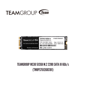GTFSSD00005 Unidad en Estado Sólido TEAMGROUP MS30 512GB M.2 2280 SATA III 6Gb/s