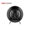 Cámara IP Domo Wi-Fi Exterior Hikvision 2MP IR 10m con Audio Bidireccional DS-2CV2U21FD-IW